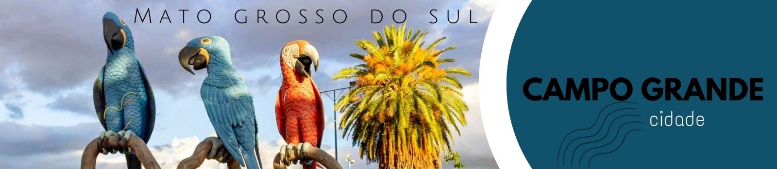 Núcleos de Capoterapia em   Campo Grande - MS