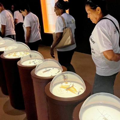 Slide V 7 Acao Social Serra Da Capivara